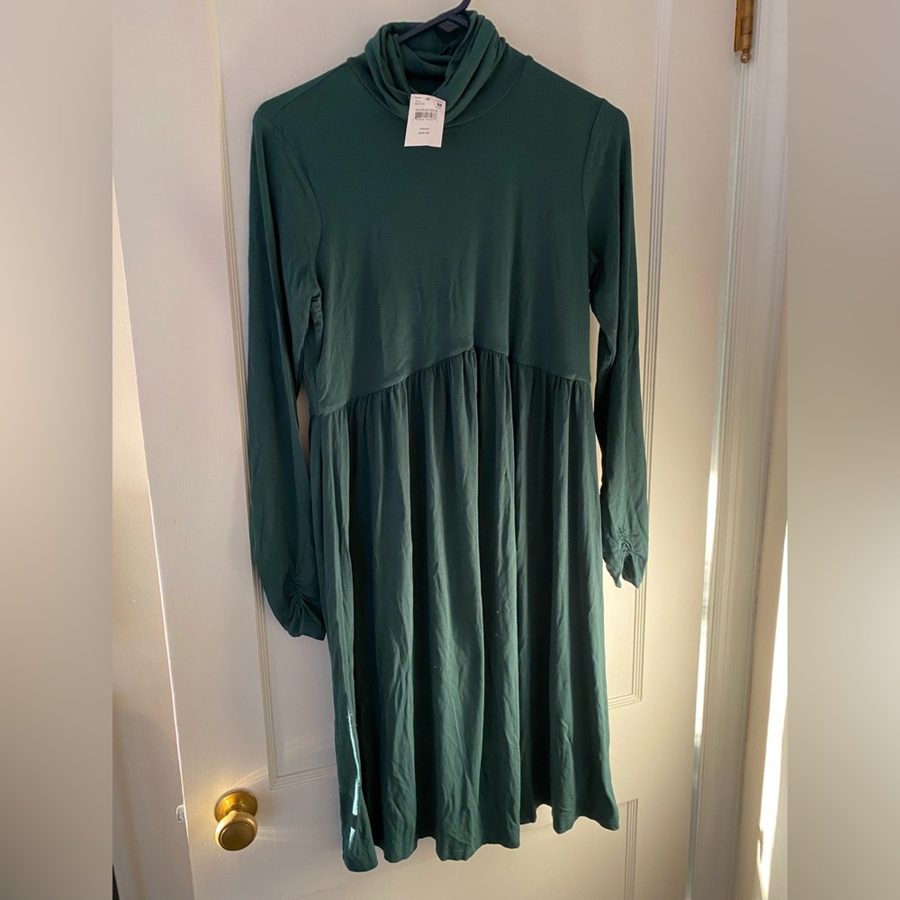 Motherhood maternity fall/winter green dress